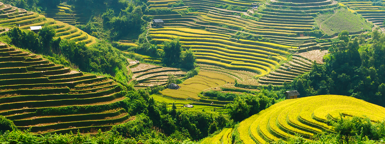 20260804_Kyaing Tong