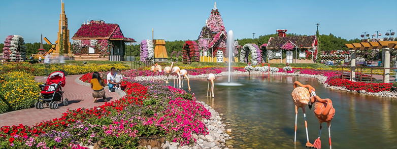 20260804_Miracle Garden Photo