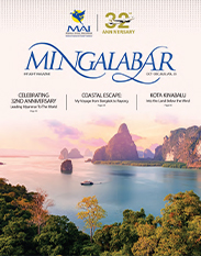 Cover 33