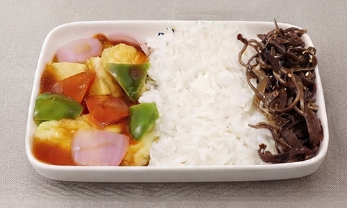 Vegetarian Vegan Meal